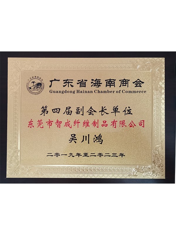 智成總經理廣東省海南商會第四屆副會長單位